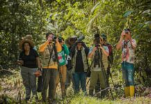 Biodiversidad de aves del departamento de Arauca presente en el Global Big Day 2025