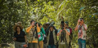 Biodiversidad de aves del departamento de Arauca presente en el Global Big Day 2025