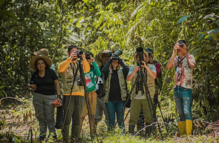 Biodiversidad de aves del departamento de Arauca presente en el Global Big Day 2025