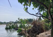 Comunidad de la vereda Puerto Rico