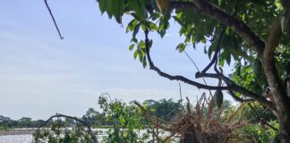 Comunidad de la vereda Puerto Rico