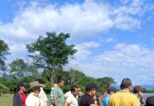 ALERTA EN VEREDA PUERTO RICO, SARAVENA