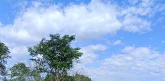 ALERTA EN VEREDA PUERTO RICO, SARAVENA