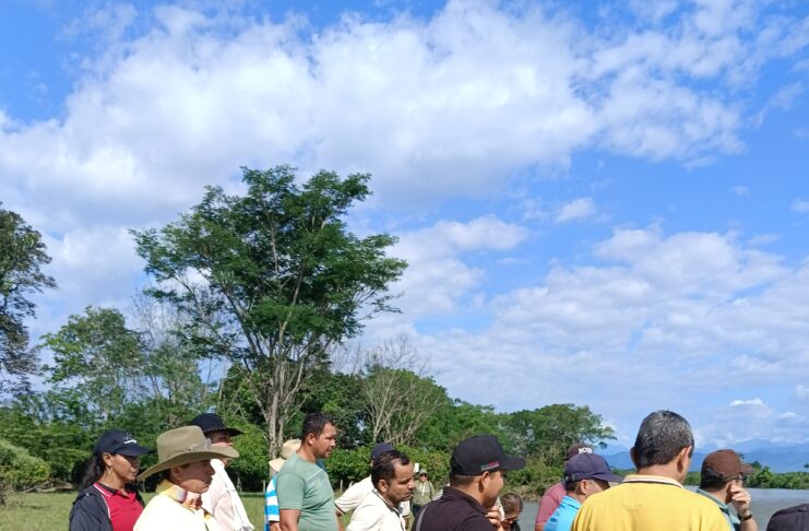 ALERTA EN VEREDA PUERTO RICO, SARAVENA