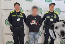 Hombre capturado por muerte de Kira pide perdón: «No lo voy a volver a hacer»