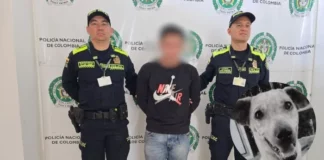 Hombre capturado por muerte de Kira pide perdón: «No lo voy a volver a hacer»