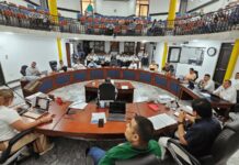 Diputados exigieron mayores controles a centros estéticas tras el trágico desenlace de Yulixa Toloza.