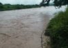 Comunidad de Reinera en Arauquita urge reubicación definitiva ante inminente riesgo por crecientes del río Arauca