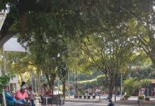 A VECES NO SE NECESITA MUCHO… SOLO AMAR A SARAVENA