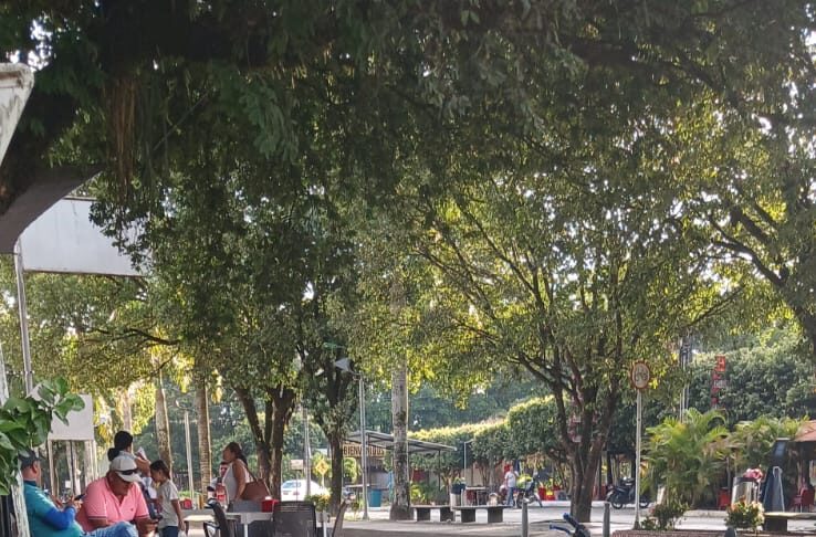 A VECES NO SE NECESITA MUCHO… SOLO AMAR A SARAVENA