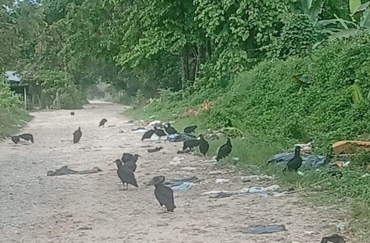 PREOCUPACIÓN EN EL SECTOR DE LA CANCHA DE INCORA POR ACUMULACIÓN DE BASURAS.
