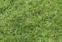 Un llamado respetuoso a todos los propietarios de mascotas que visitan la pista de atletismo de la cancha del pueblo, recientemente recuperada para el uso de los deportistas.