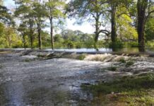 Crecida de cuerpos de agua deja 87 familias afectadas en el sector La Granja de El Amparo, Venezuela