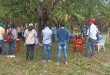 Agencia Nacional de Tierras adjudica predio a 17 familias campesinas en el municipio de Arauca
