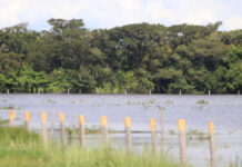 Emergencia invernal en Tame: Inundaciones dejan a 28 familias de la comunidad Makaguan damnificadas y sin cultivos
