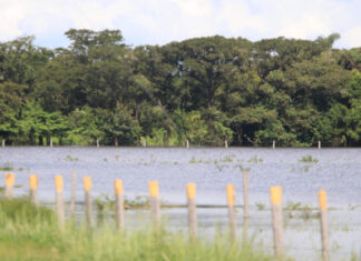 Emergencia invernal en Tame: Inundaciones dejan a 28 familias de la comunidad Makaguan damnificadas y sin cultivos