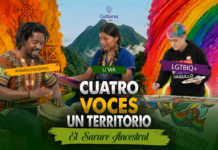 Desde hoy, “Cuatro voces, un territorio: El Sarare ancestral” llega a la FM 88.3 de Sarare Stereo, llevando las voces, historias y saberes de las comunidades afrodescendiente, pueblo U’wa y comunidad LGTBI.